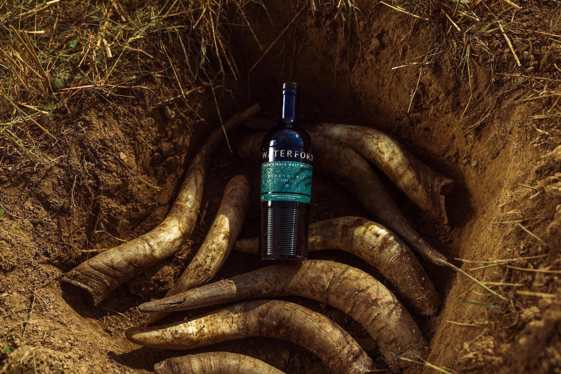 Waterford bottles world’s first biodynamic Irish whiskey - DrinksHero